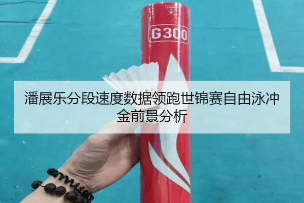 潘展乐分段速度数据领跑世锦赛自由泳冲金前景分析